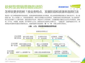 网络服务新时代 互联网数据中心与199it如何重塑数据服务生态